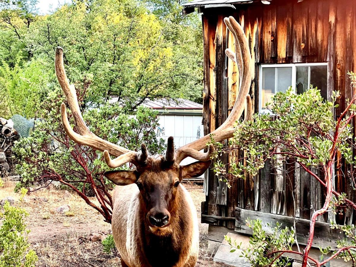 Vila Hidden Gem Retreat In The Heart Of Payson Exteriér fotografie